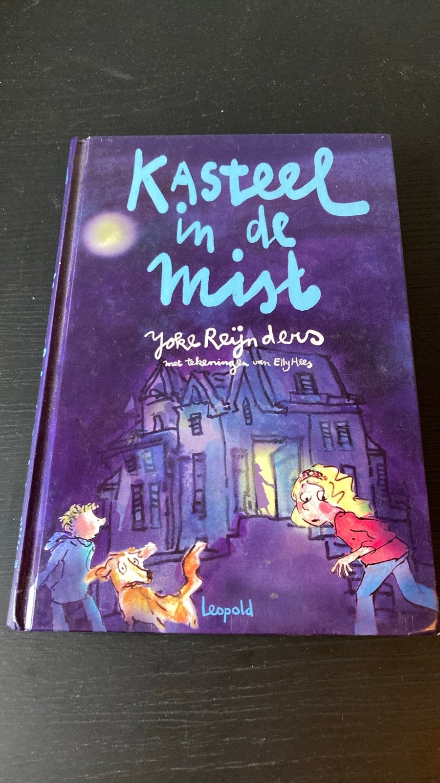 Kasteel in de Mist - Yoke Reijnders (Kinderboek), Ophalen of Verzenden, Zo goed als nieuw, Fictie algemeen