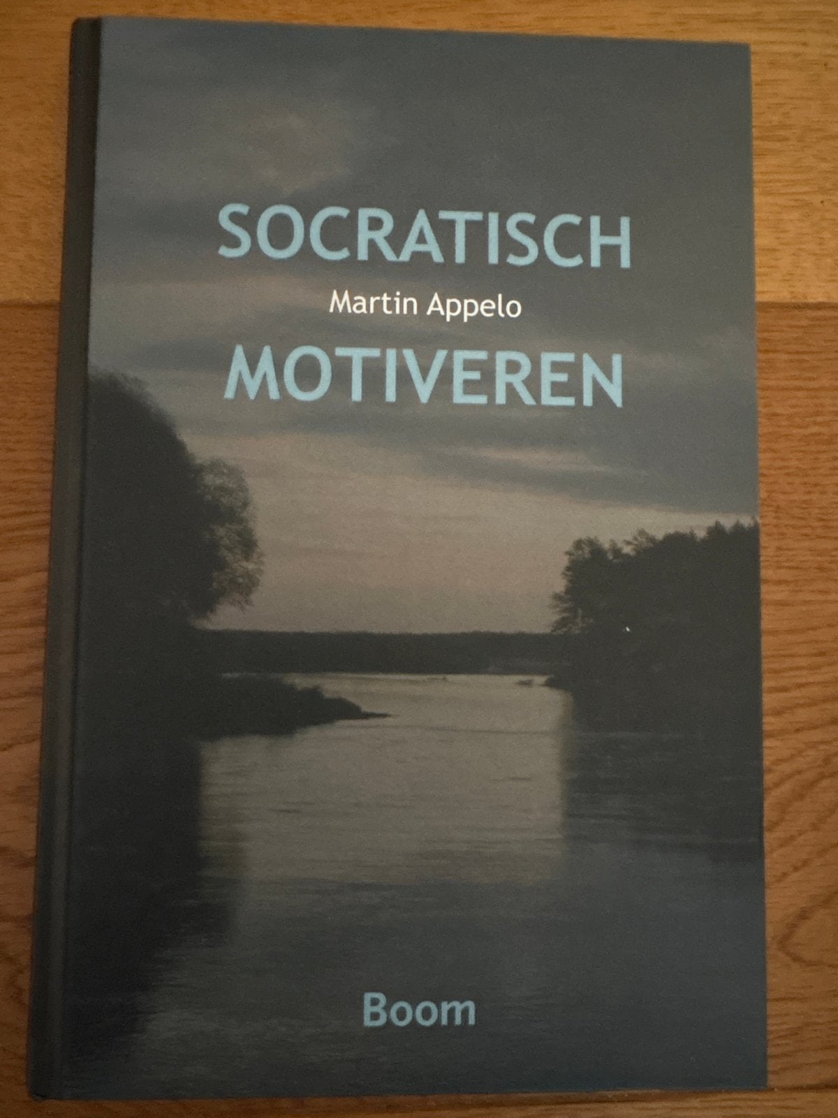 Socratisch Motiveren - Martin Appelo, Boeken, Psychologie, Ophalen of Verzenden, Zo goed als nieuw, Klinische psychologie