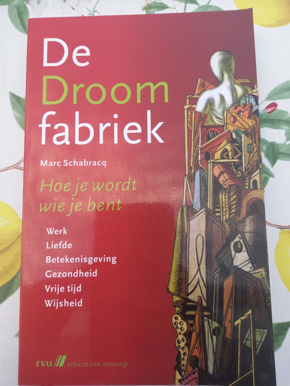 M. Schabracq - De droomfabriek t, Ophalen of Verzenden, Zo goed als nieuw, Overige onderwerpen, M. Schabracq; A. Bergsma