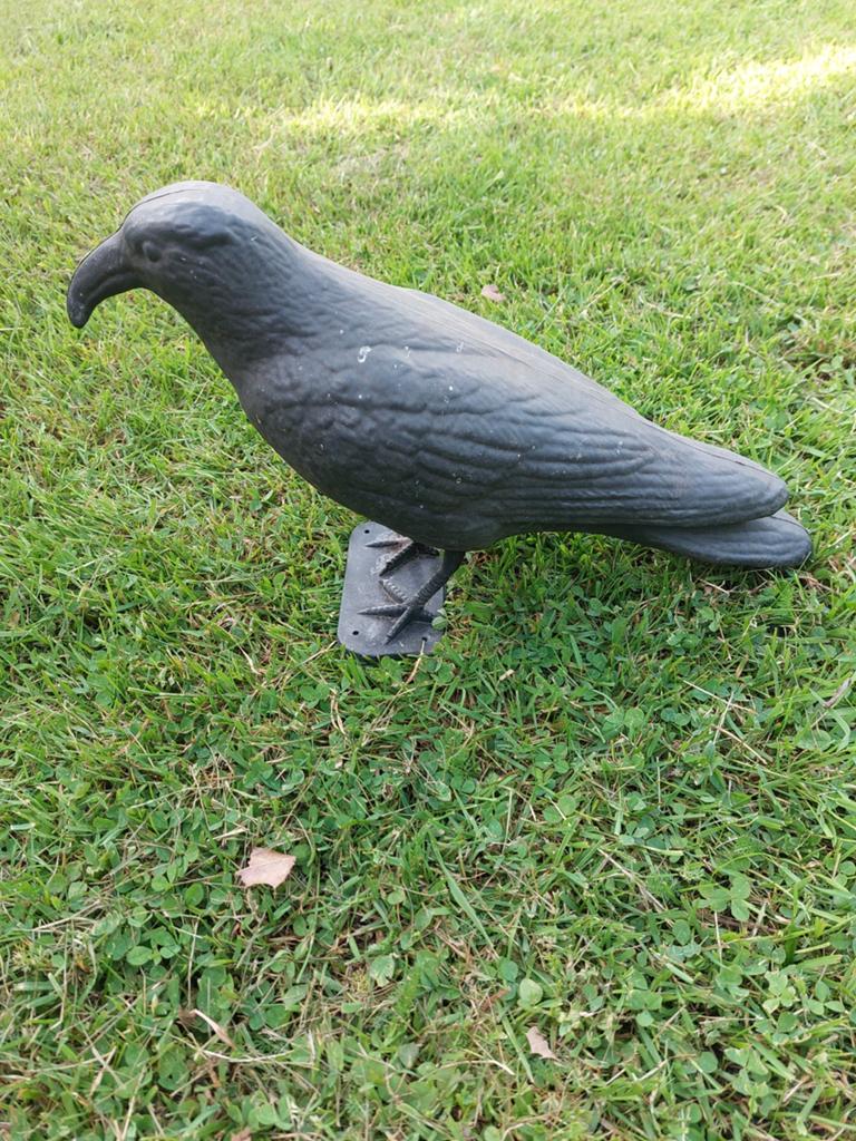 Vogelverschrikker kraai, Ophalen of Verzenden, Gebruikt