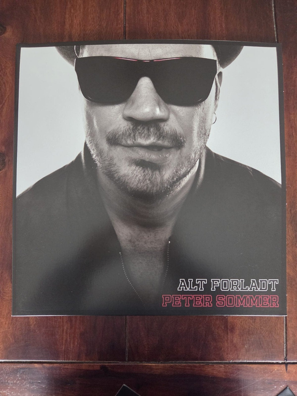 Peter Sommer alt forladt LP

Zie ook mijn andere advertentie, Ophalen of Verzenden, Zo goed als nieuw, Overige formaten, Poprock