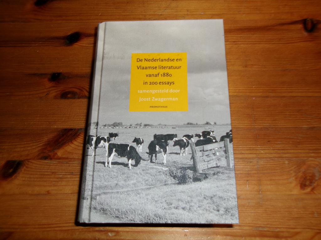 De nederlandse en vlaamse literatuur vanaf 1880, Boeken, Ophalen of Verzenden, Zo goed als nieuw
