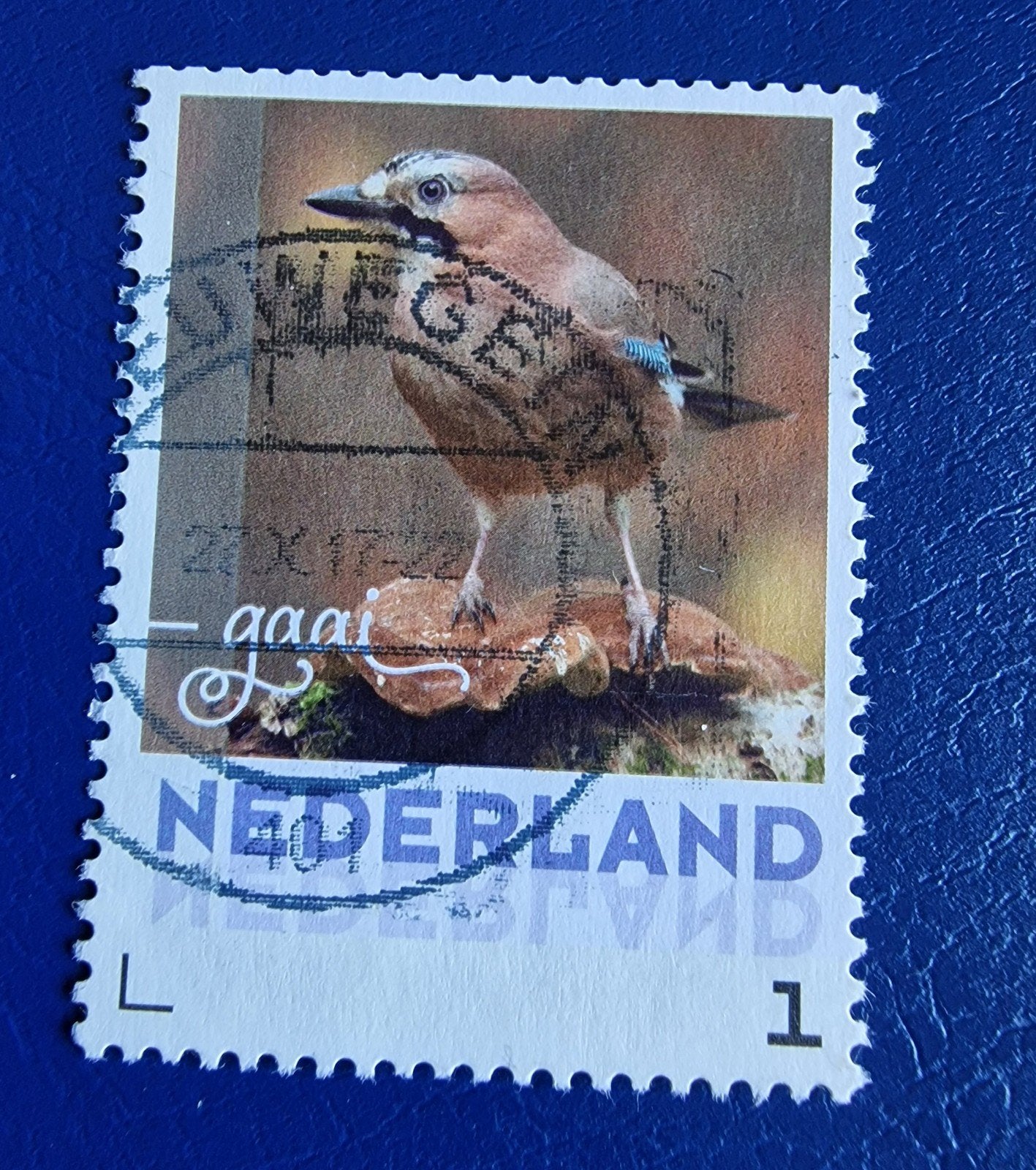 kv1308 persoonlijke postzegel met Vlaamse Gaai - Gestempeld, Ophalen of Verzenden, Na 1940, Gestempeld