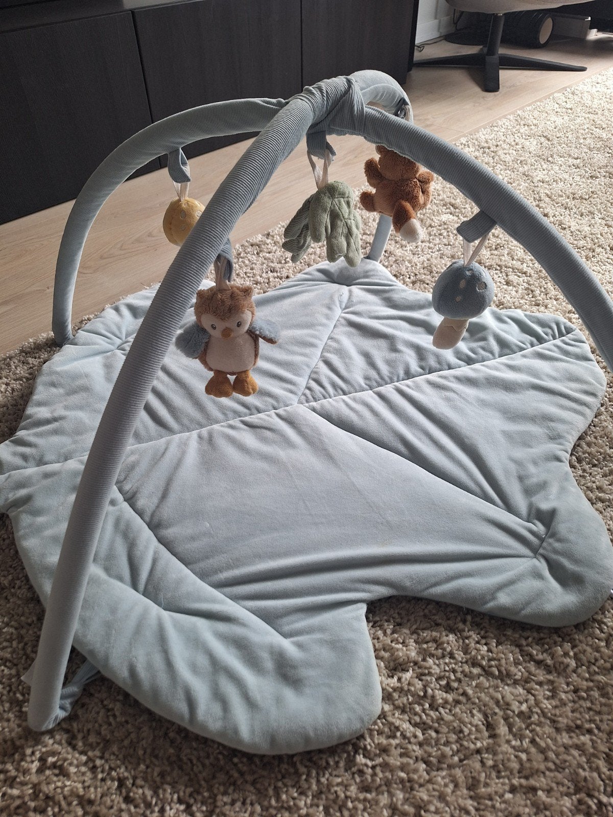 Babygym Little Dutch Forest Friends, Ophalen, Zo goed als nieuw, Babygym