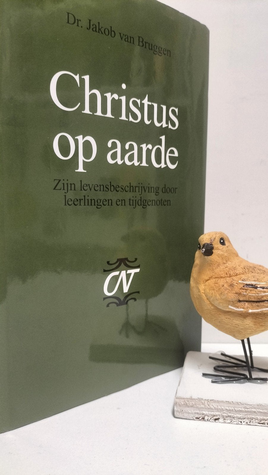 Bruggen, Dr. Jakob van; Comm op het NT:   Christus op aarde, Boeken, Ophalen of Verzenden, Gelezen, Christendom | Protestants