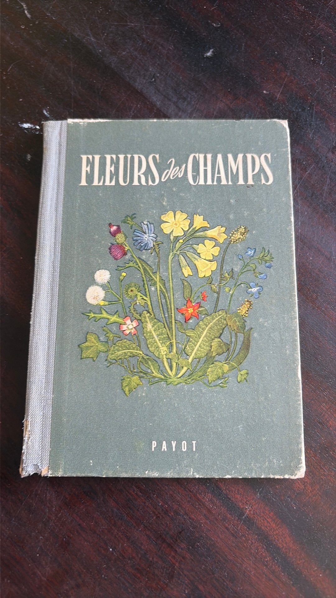 Fleurs Des Champs - Walter Rytz-Miller, Verzenden, Gelezen, Tuinieren en Tuinplanten