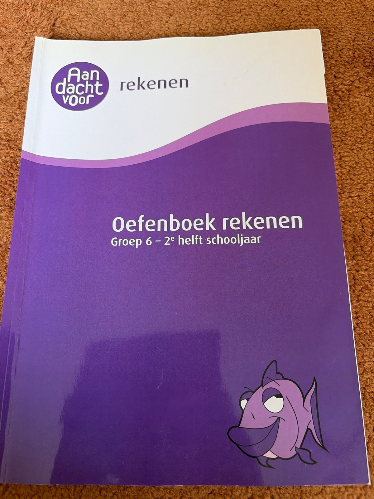 Oefenboek Rekenen Groep 6 - 2e helft schooljaar, Boeken, Schoolboeken, Ophalen of Verzenden, Zo goed als nieuw, Overige niveaus