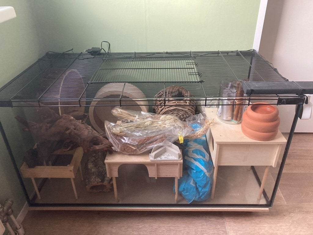 Hamster terrarium 100x50x50, Kooi, Zo goed als nieuw, Hamster, 75 tot 110 cm