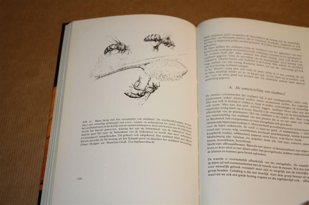 Bijen honing gezondheid. Honing, stuifmeel, royal jelly..., Ophalen of Verzenden, Gelezen