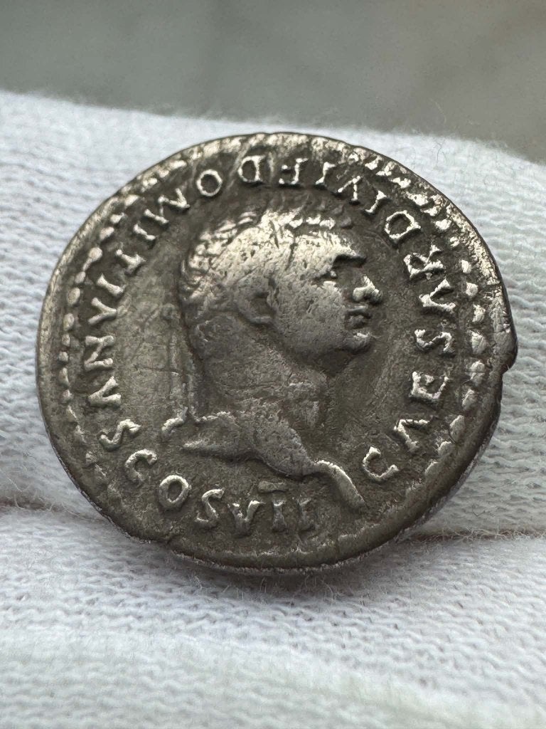 Romeinse rijk - Domitianus (Denarius, 80-81 AD), Verzenden, Overige landen, Losse munt