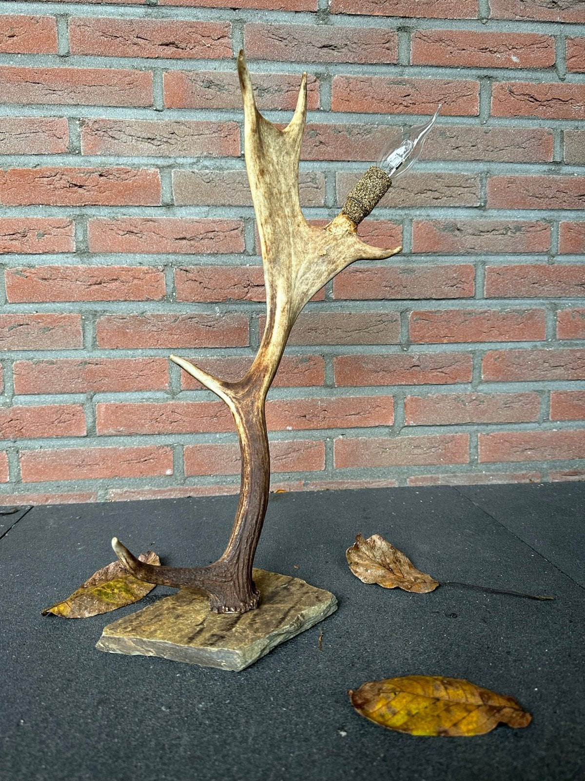 Geweilamp.schemerlamp.geweien.edelhert.damhert.tafellamp., Met schakelaar, Nieuw, Ophalen of Verzenden, Zwart