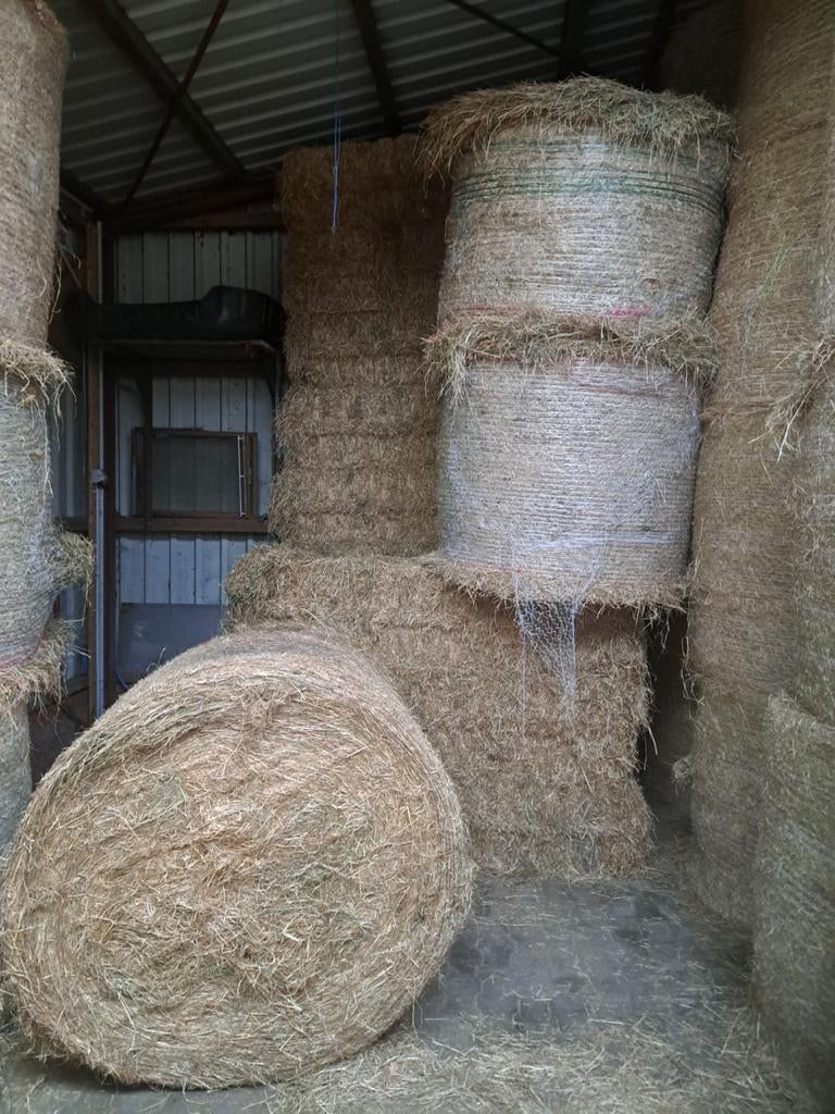 Ronde balen hooi paarden hooi, Ophalen of Verzenden