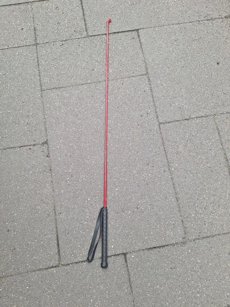 Paardrijzweep, Ophalen, Gebruikt, Overige typen