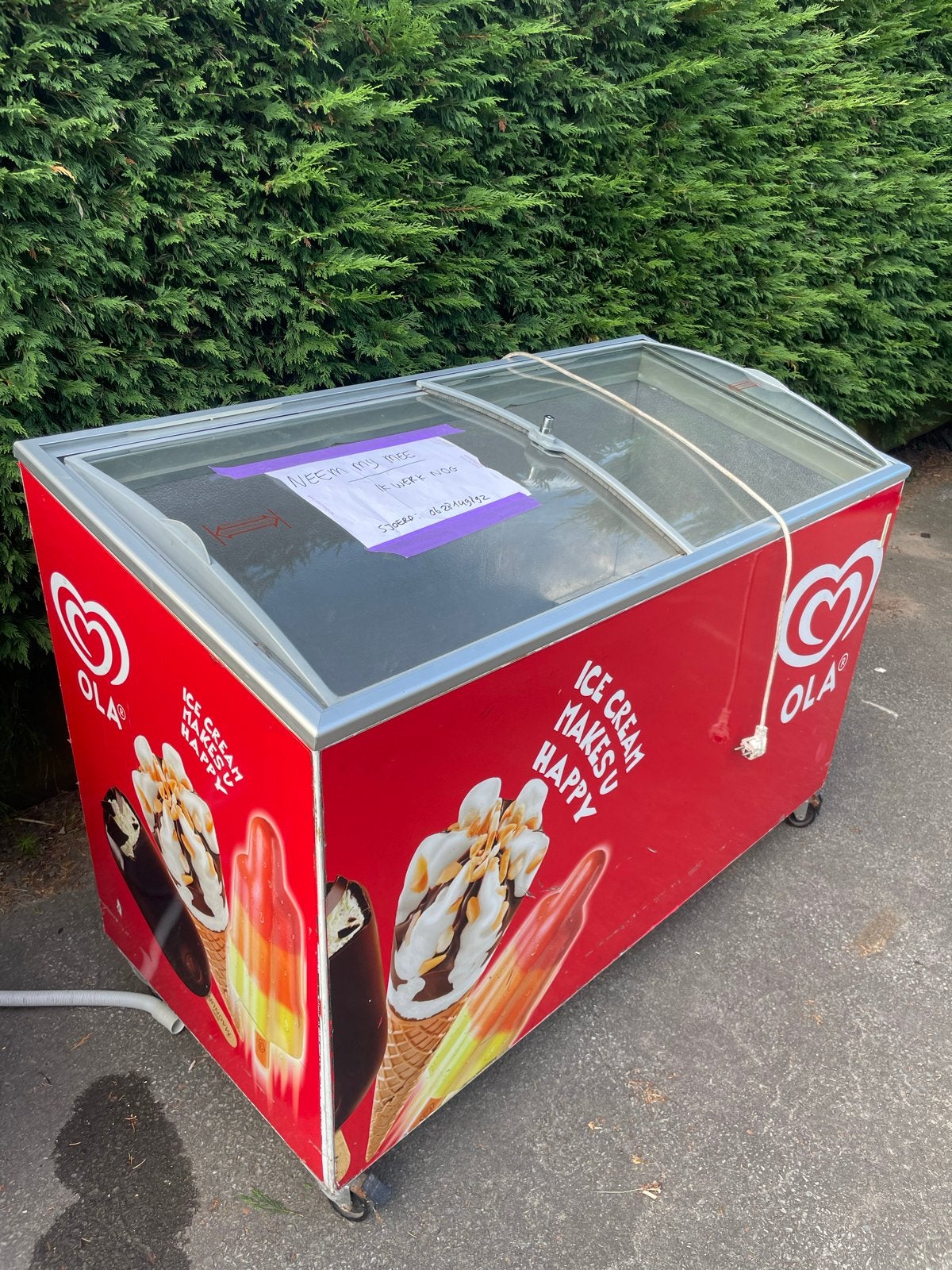 Ola IJs Vrieskist - Perfect voor horeca of evenementen, Gebruikt, 200 liter of meer, 60 cm of meer, Met aparte vriezer