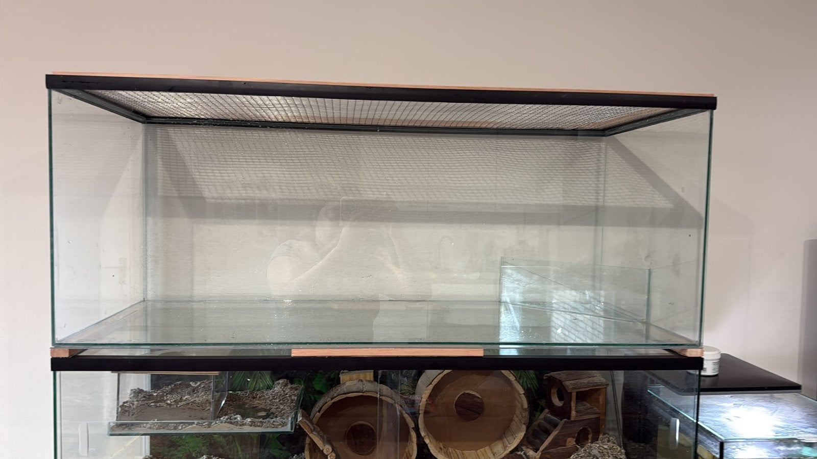 Queenies Terrarium 100x40x50, Dieren en Toebehoren, Minder dan 60 cm, Hamster, Ophalen of Verzenden, Hok