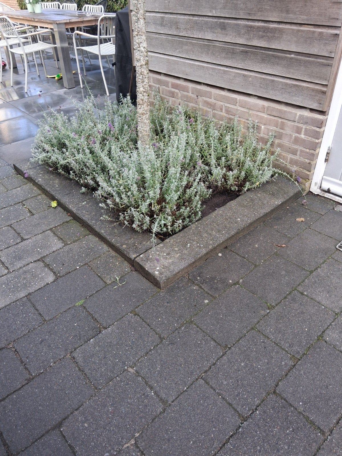 Gratis bielzen., Ophalen, Gebruikt, Grijs
