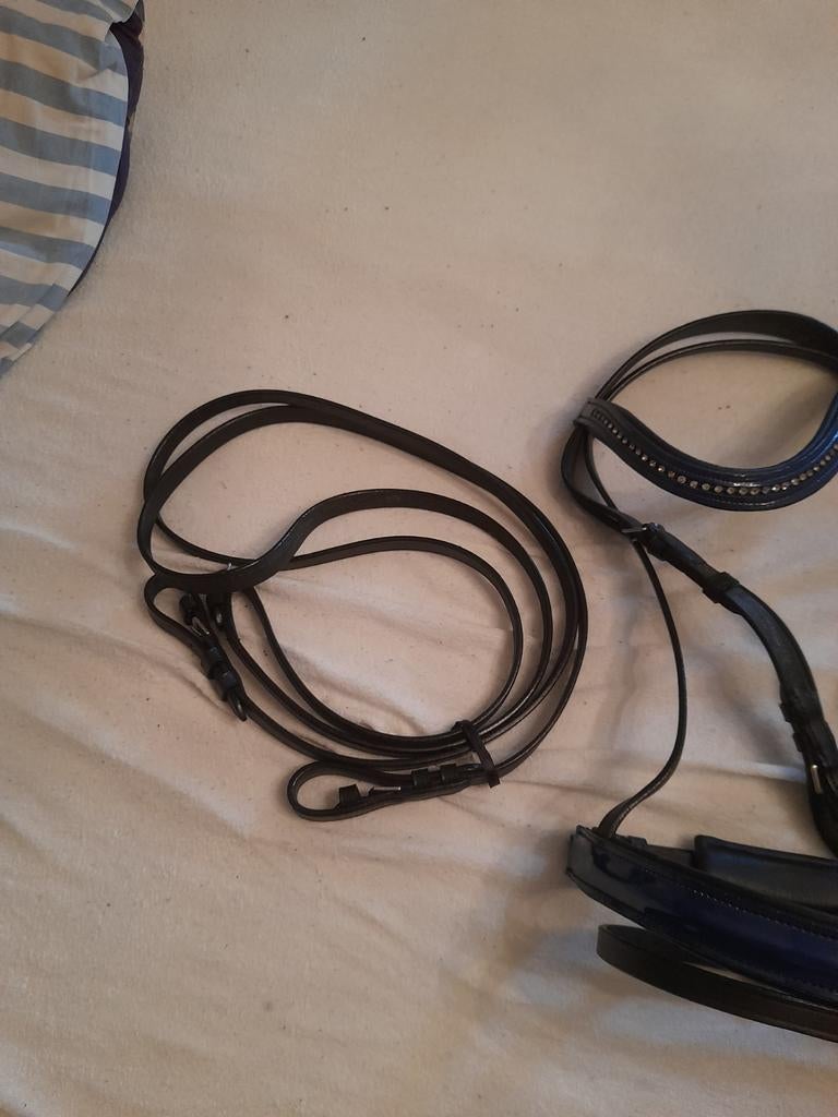 Te koop hoofdstel en halsters alles nieuw, Dieren en Toebehoren, Paarden en Pony's | Hoofdstellen en Tuigage, Ophalen of Verzenden