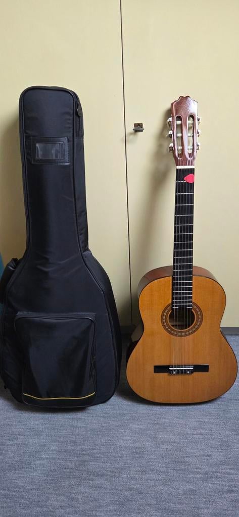 Klassieke gitaar met hoes, Ophalen