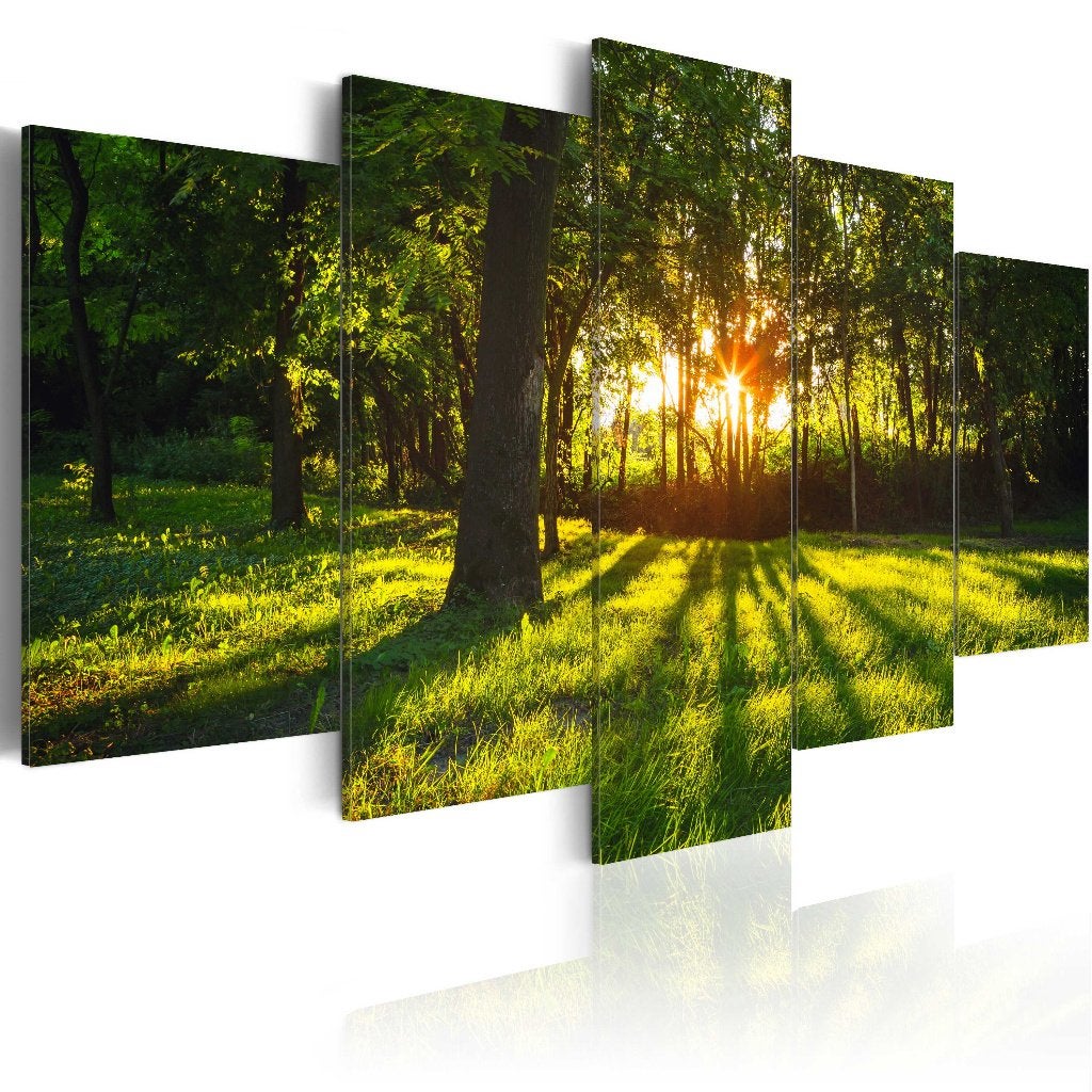 921 Bomen Bos Natuur 5 Luik Canvas Schilderij 200x100 Nieuw, Nieuw, 125 cm of meer, Ophalen of Verzenden, Schilderij