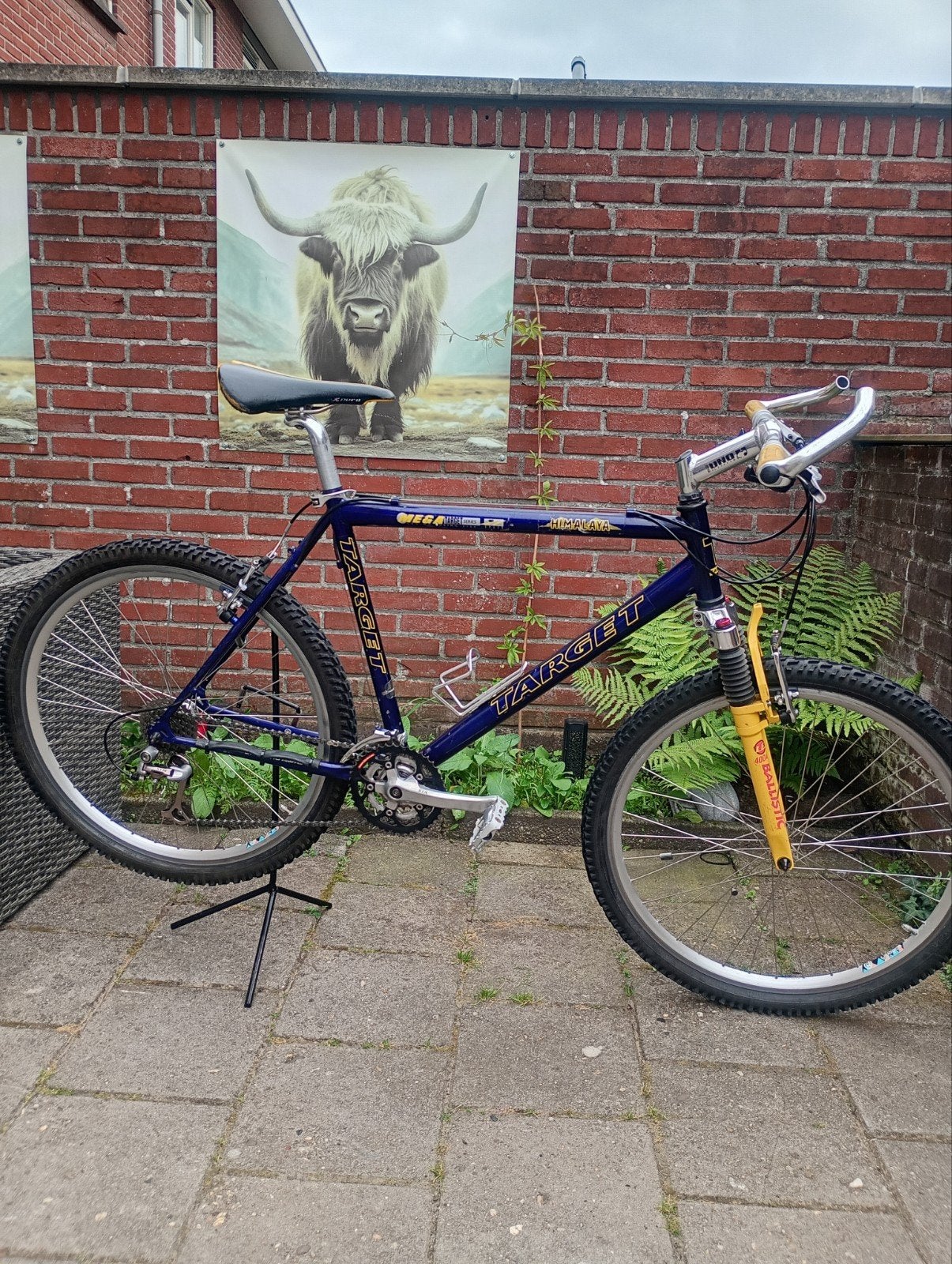 Target Himalaya sport fiets, vakantie fiets, atb, mtb, race, Gebruikt, Velgrem, 49 tot 53 cm, Meer dan 20 versnellingen