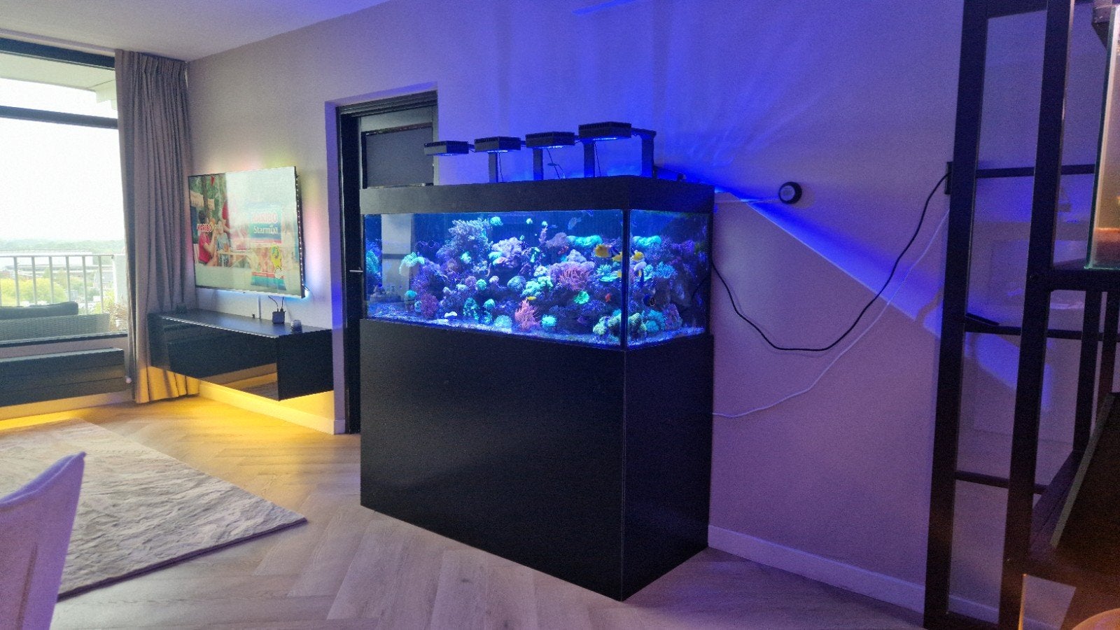 compleet draaiend zeeaquarium inclusief levende have, Ophalen, App-bediening, Zo goed als nieuw, Gevuld zeewateraquarium