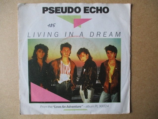 s3975 pseudo echo - living in a dream, Ophalen, Gebruikt, 7 inch, Overige genres