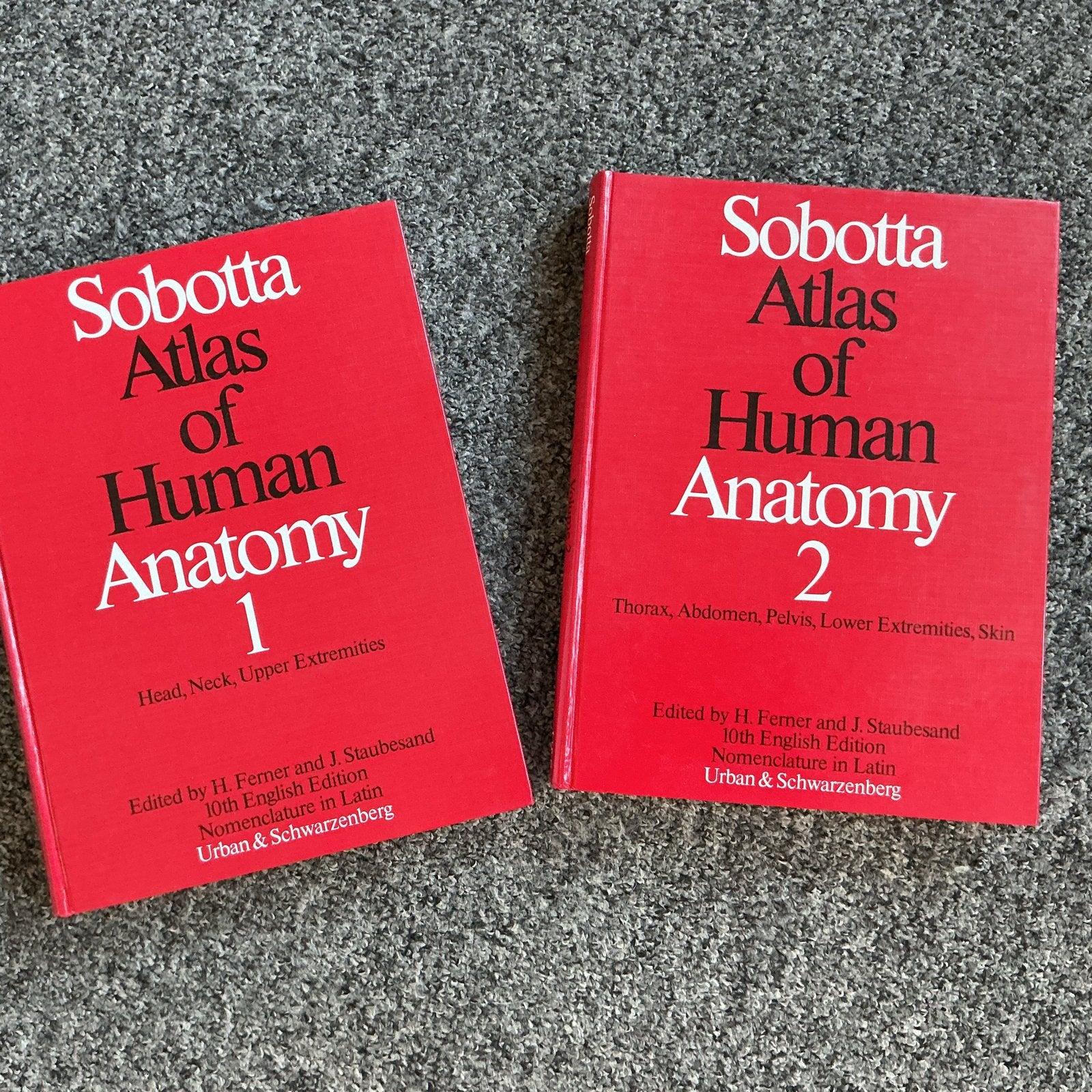 Sobotta Atlas of Human Anatomy - Deel 1 en 2, Ophalen of Verzenden, Beta, Gelezen, WO
