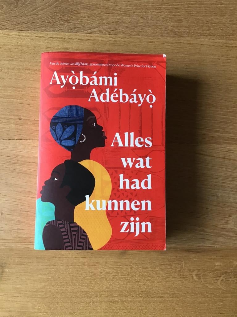Alles wat had kunnen zijn, Ayòbámi Adébéyò, Ophalen of Verzenden, Gelezen, Ayòbámi Adébéyò