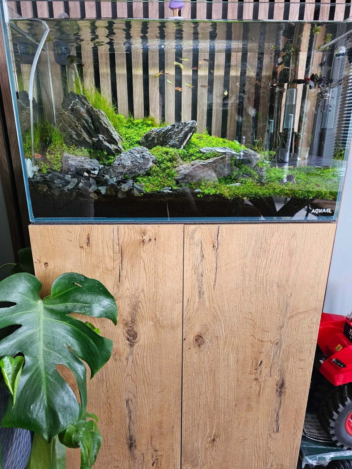 Aquael UltraScape aquarium met onderkast/filter/co2/vissen, Ophalen, Aquael, Inclusief vissen, Gevuld zoetwateraquarium