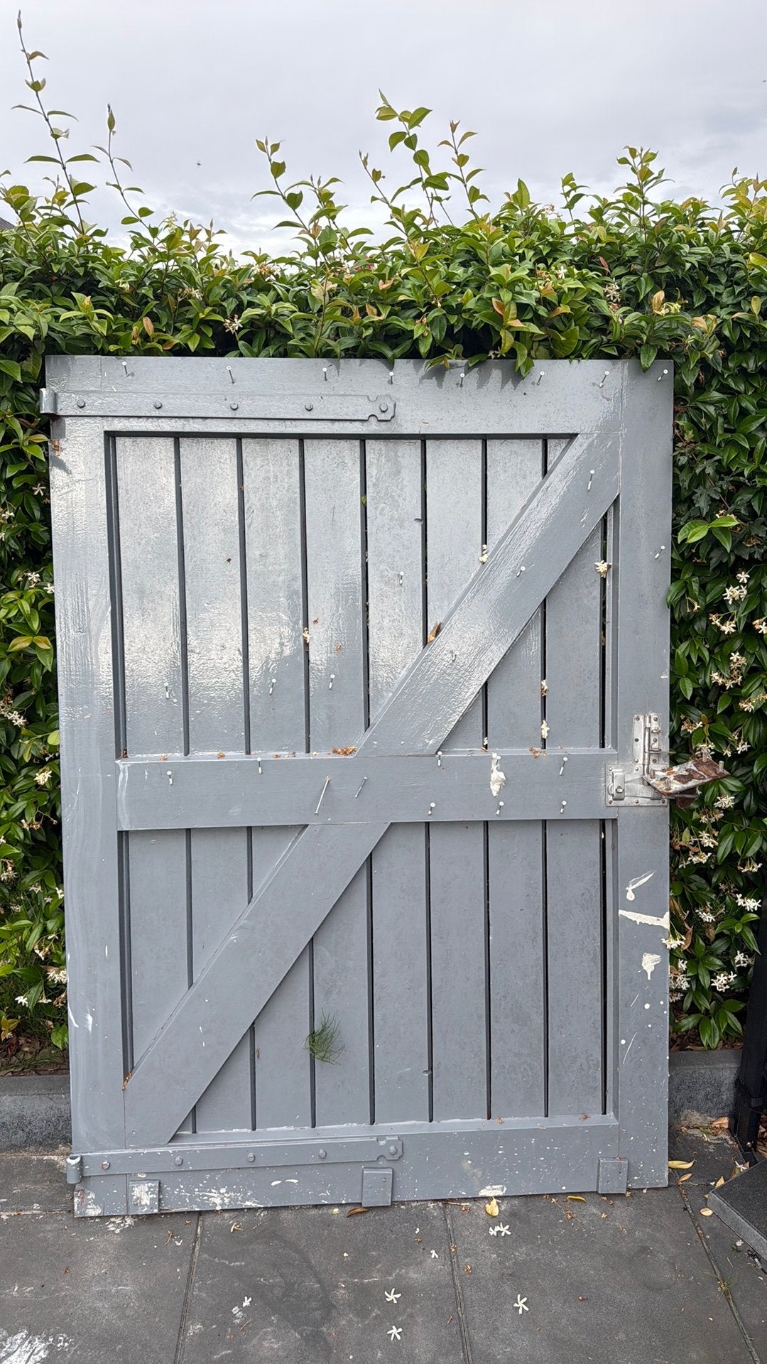 Tuinpoort, Ophalen, Gebruikt, Draaipoort, 150 tot 200 cm