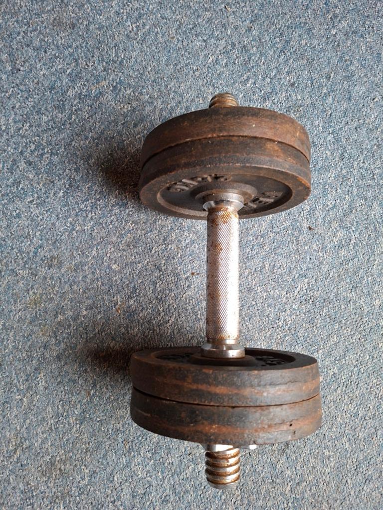 Halter 10 kg met 4x 2.5 kg schijven, Ophalen, Gebruikt, Rug, Dumbbell