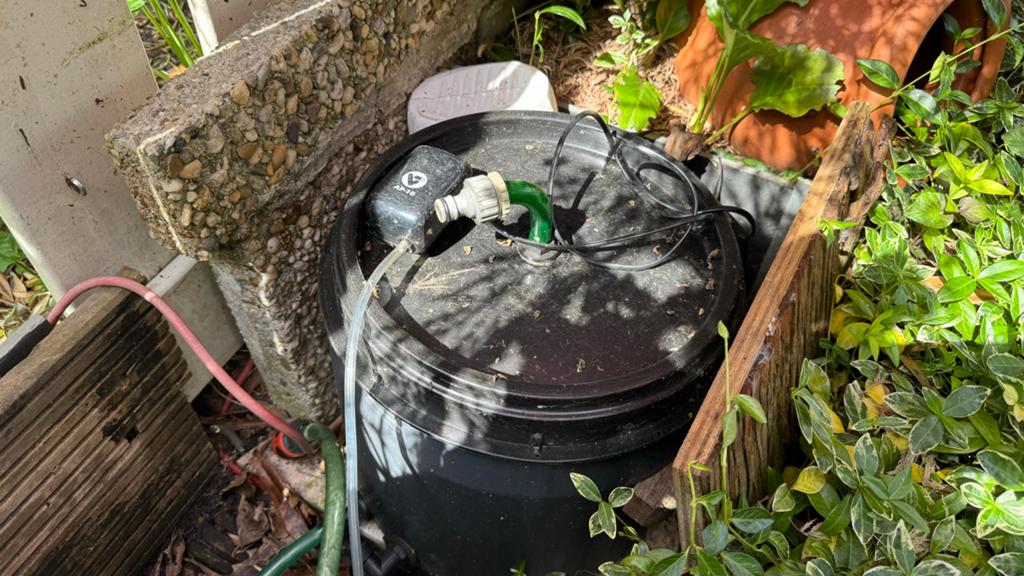 Mini vijver (wijnvat) met pomp, filter, planten en vissen, Ophalen, Gebruikt