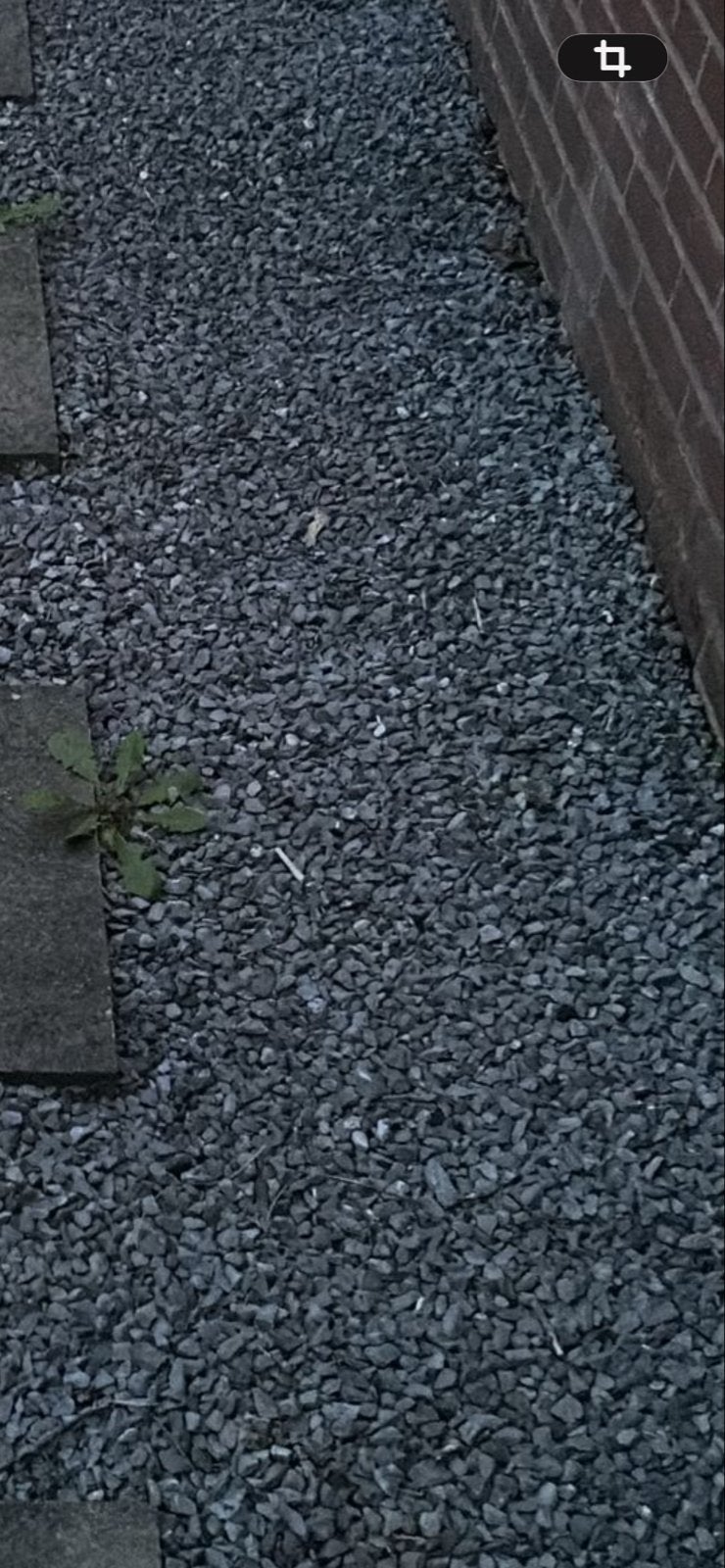 Grijze split voor tuin of oprit, Ophalen, Overige materialen, Gebruikt, Grind