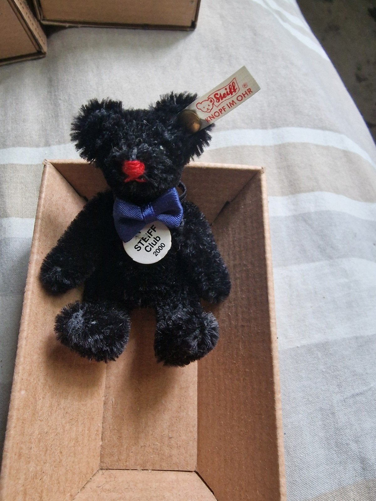 Steiff Club Teddybeer Zwart 7 cm 2000/2001, Verzamelen, Beren en Cherished Teddies, Ophalen of Verzenden