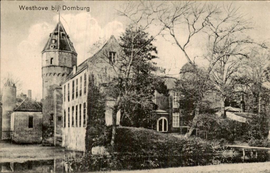 Domburg - Westhove - Kasteel, Ophalen of Verzenden, 1920 tot 1940, Gelopen, Zeeland