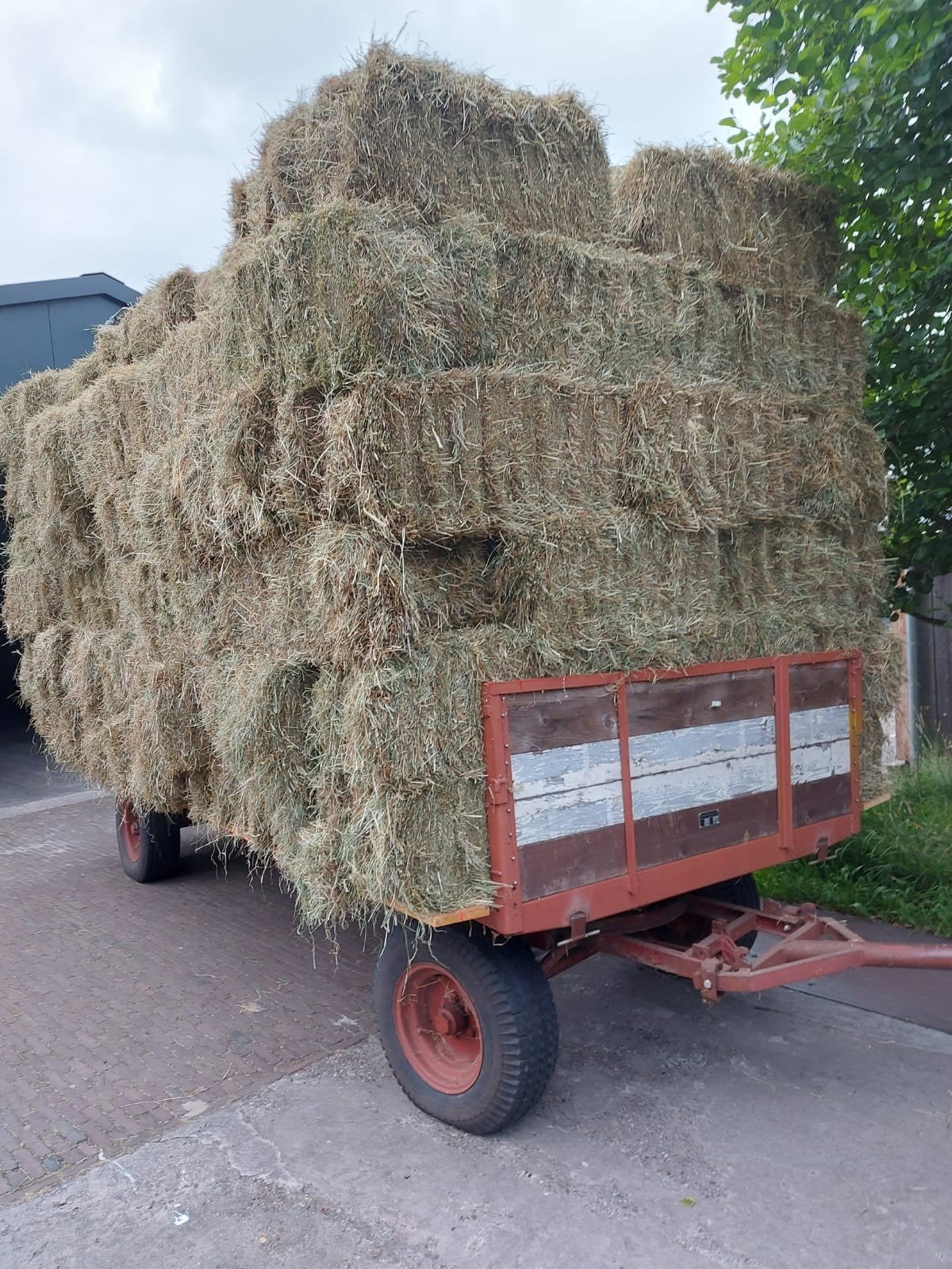 Hooipakken jakobskruiskruid vrij, Dieren en Toebehoren, Ophalen, Vee