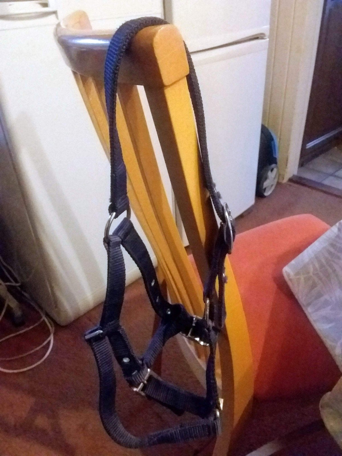 Shetlander halster, Dieren en Toebehoren, Paarden en Pony's | Hoofdstellen en Tuigage, Ophalen of Verzenden, Overige soorten