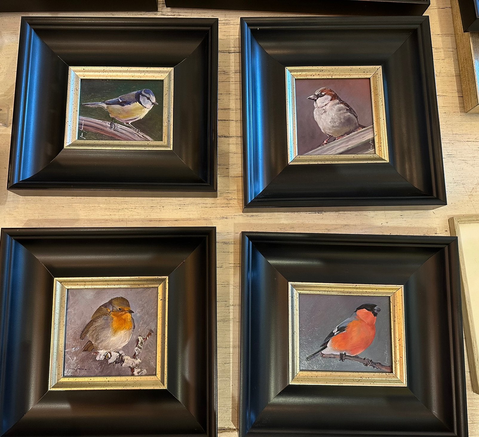 Veel vogel schilderijen: o.a. roodborstje, mus, koolmees etc, Overig onderwerp, Ophalen of Verzenden, Ingelijst, Olieverf