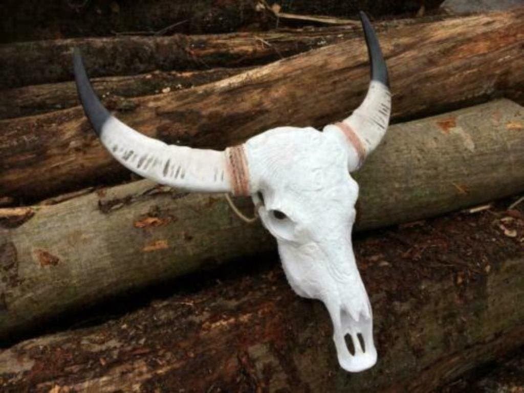 Foto 11 van Buffelschedels , Skulls , Longhorn , hoorns , bison schedels