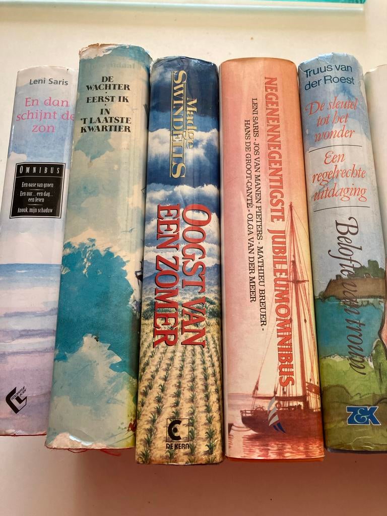 Diverse streekromans van bekende auteurs - 12 boeken, Boeken, Romans, Ophalen of Verzenden, Gelezen, Nederland