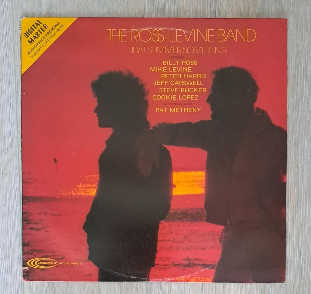 The Ross-Levine Band - That Summer Something LP (1981), Gebruikt, 1980 - 1989, Ophalen of Verzenden, Inclusief binnenhoes