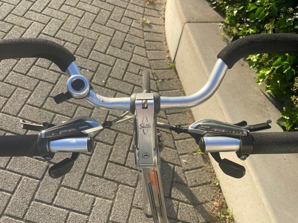Gazelle Fuente damesfiets, Ophalen, 53 tot 56 cm, Velgrem, Versnellingen