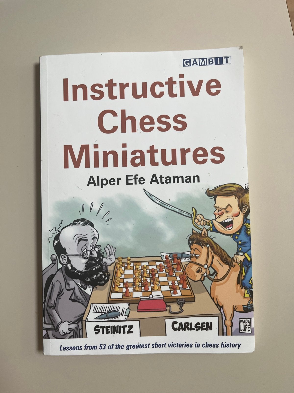Instructive chess miniature (Gambit), Ophalen of Verzenden, Minder dan 500 stukjes, Zo goed als nieuw
