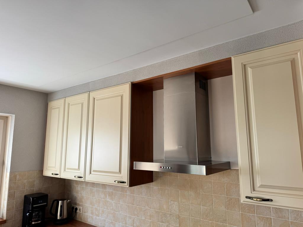 Smeg RVS Afzuigkap 60cm - Goede staat, 1 lampje defect, Witgoed en Apparatuur, Afzuigkappen, Ophalen, Gebruikt, Wandschouwkap