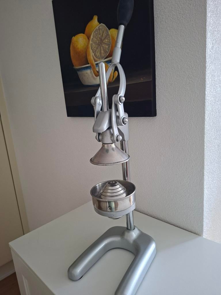 Professionele Citruspers - Zilverkleurig, Ophalen of Verzenden