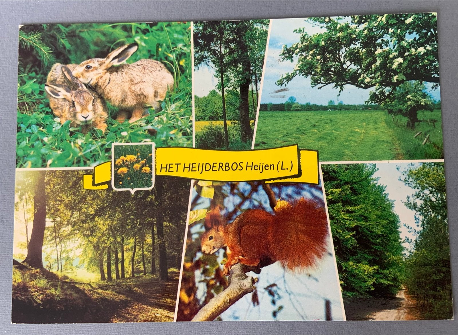 Het Heijderbos Heijen (L.), Verzenden, 1980 tot heden, Gelopen, Limburg