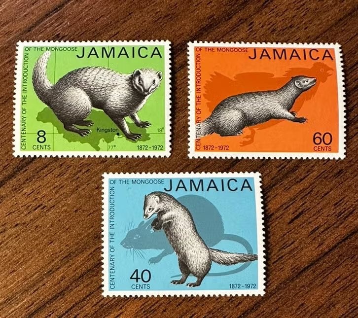 Jamaica 1972 Dieren postfris - Mongoose postzegels, Ophalen of Verzenden, Postfris