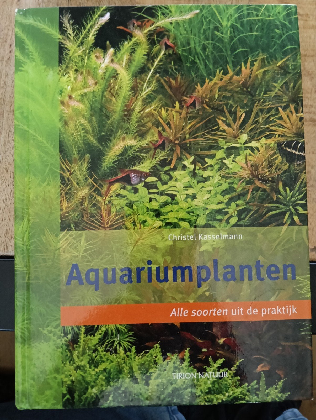 Aquariumplanten - Alle soorten uit de praktijk, Dieren en Toebehoren, Ophalen of Verzenden, Zo goed als nieuw, Plant(en), Steen of Hout