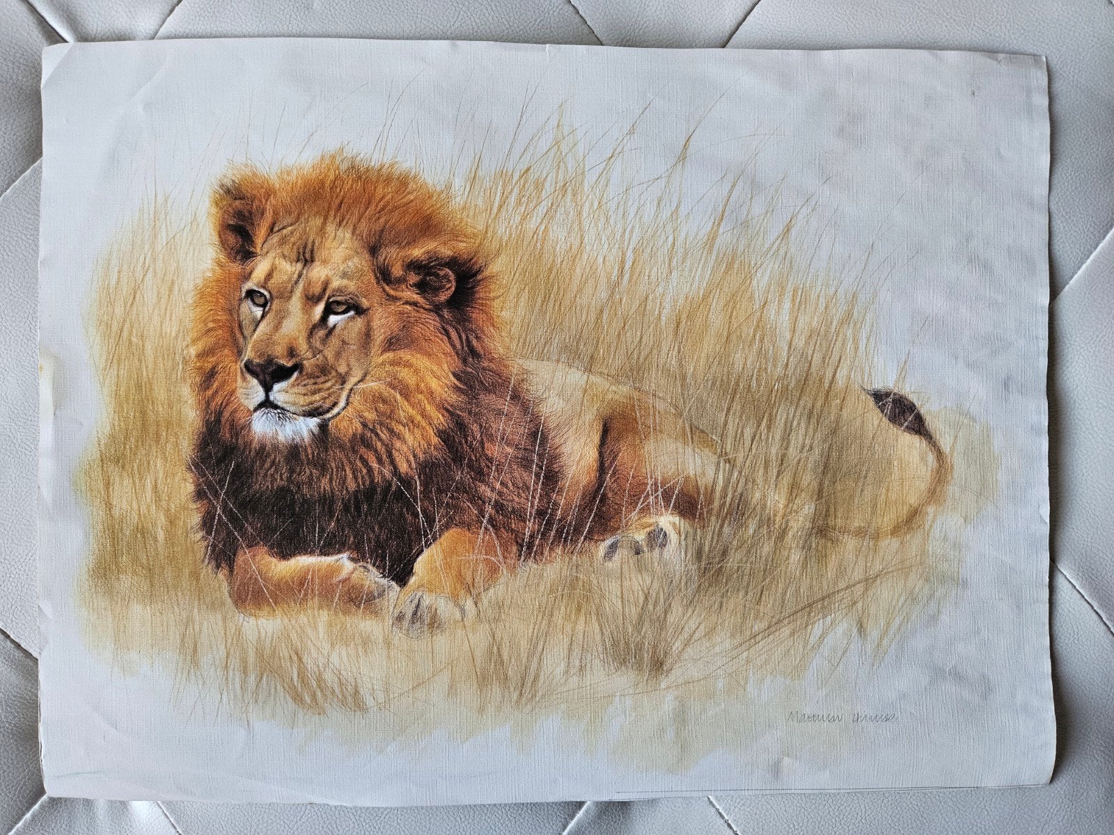 Prints tekeningen van grote katten van Matthew Hillier, Ophalen of Verzenden