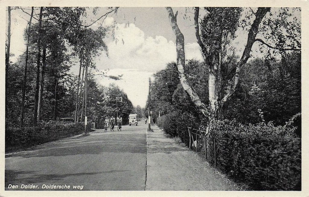 702-139-039 Den Dolder Doldersche Weg, Verzenden, Voor 1920, Utrecht